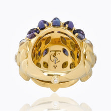 Load image into Gallery viewer, r41465-ngowl
