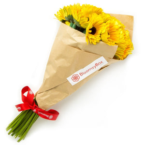 Bloomsy M