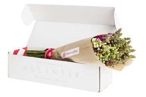 Bloomsy M